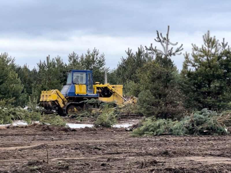 Розліснення територій, Рівненська область