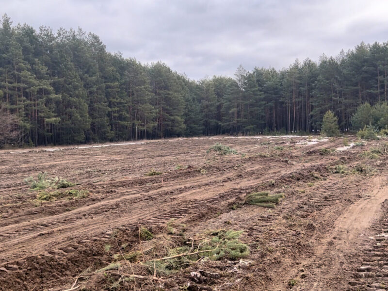 Розліснення територій, Рівненська область